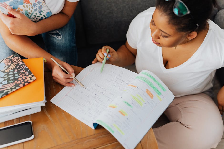 academic mentorship