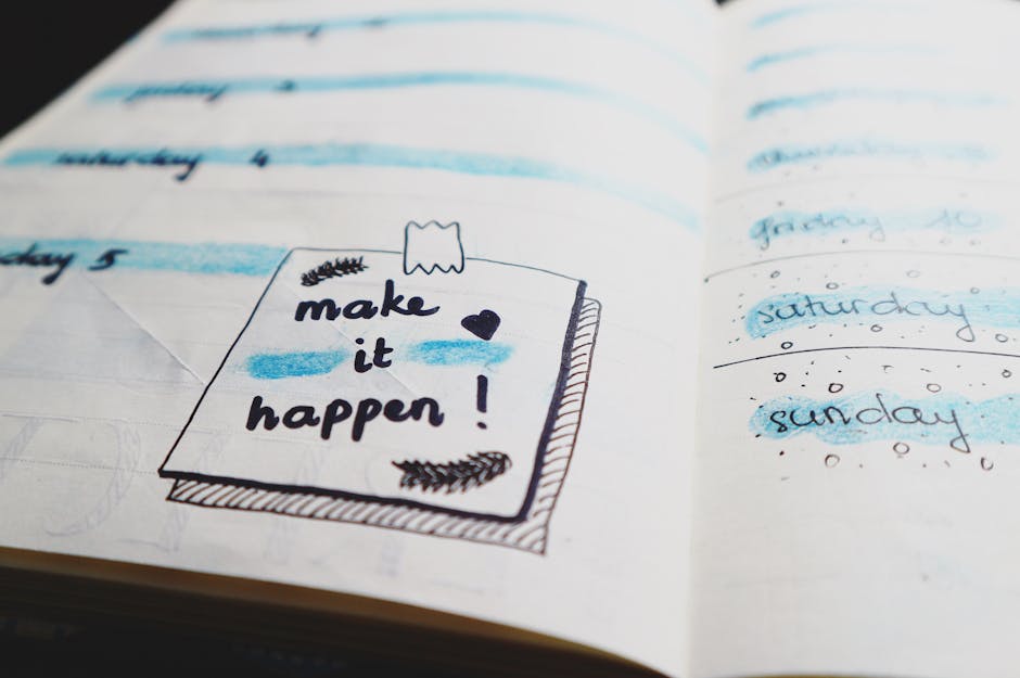 action plan