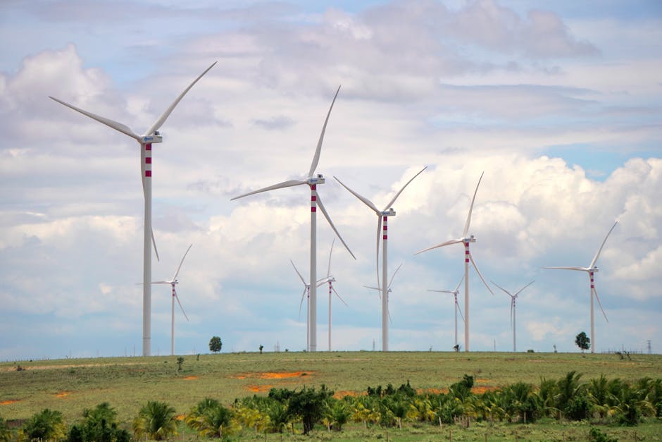climate action