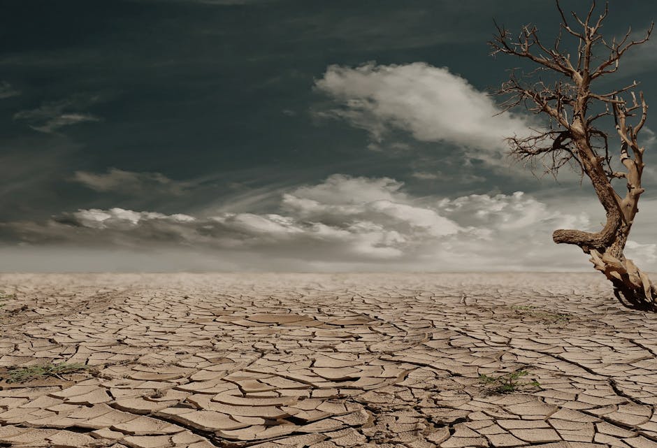 climate awareness