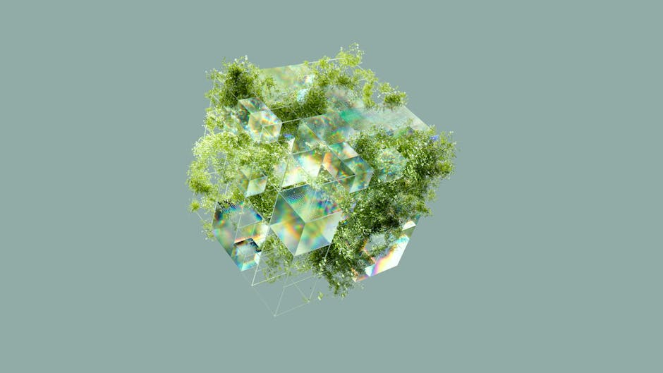 climate future