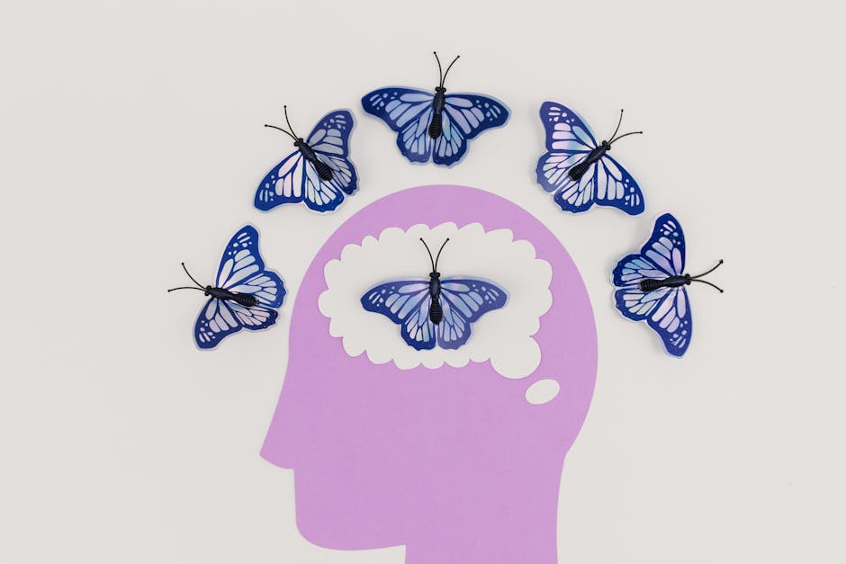 cognitive levels