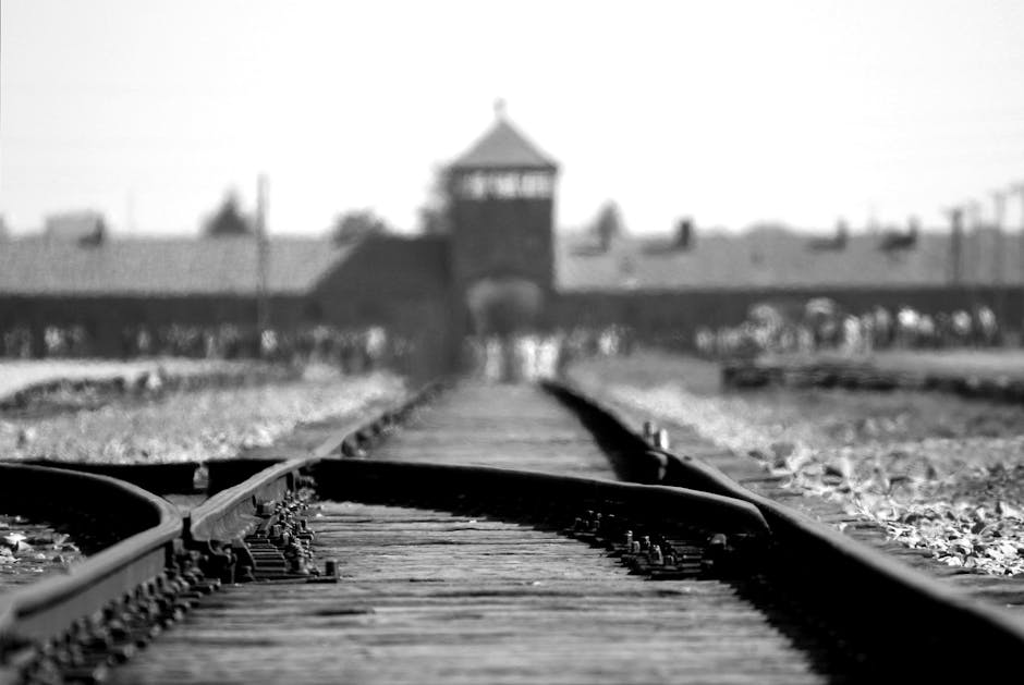 deportation