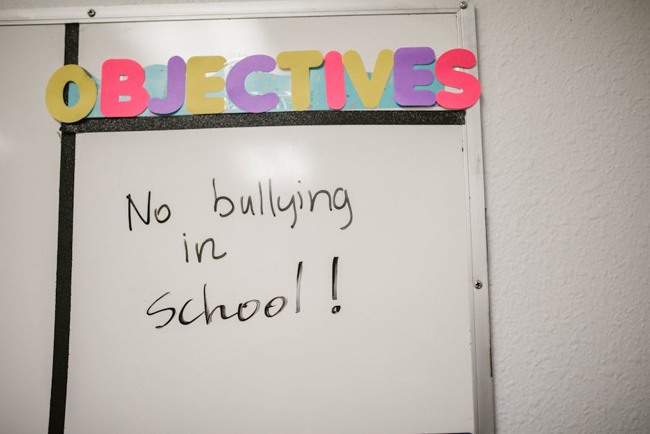 education policy