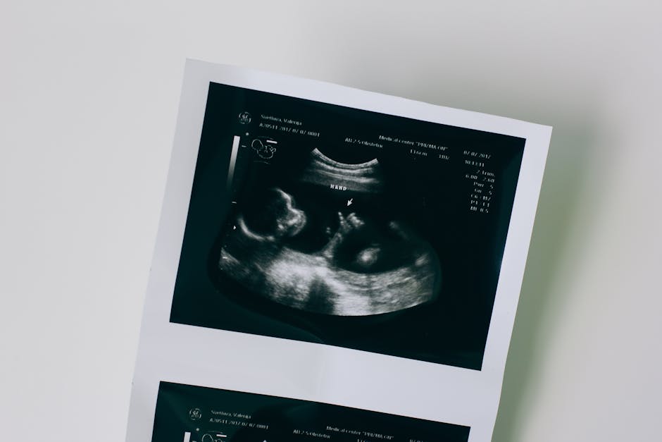 fetal development politics