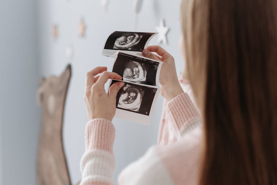 fetal development