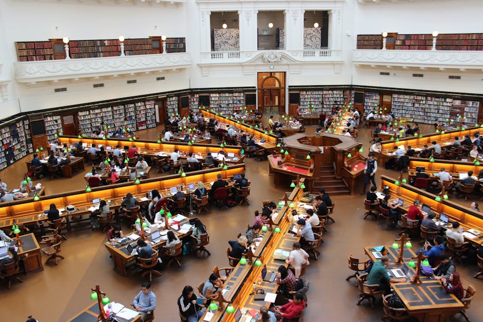 higher education