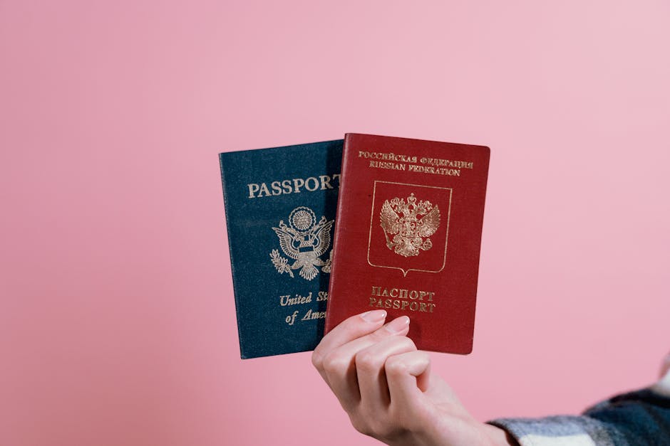 immigration system