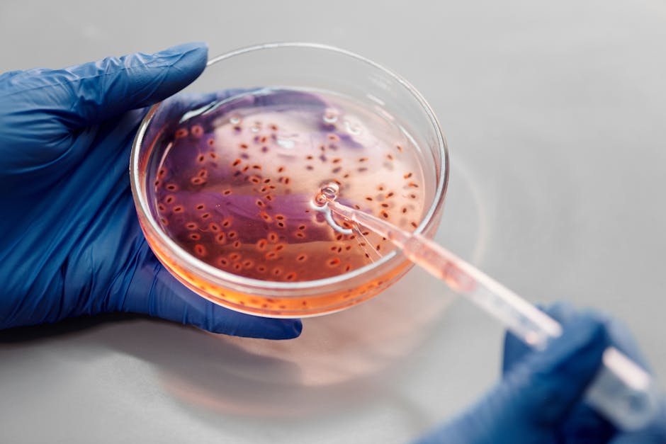 laboratory analysis