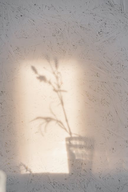 mental health in schools