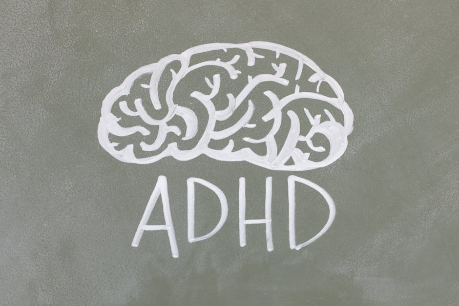 neuroscience learning