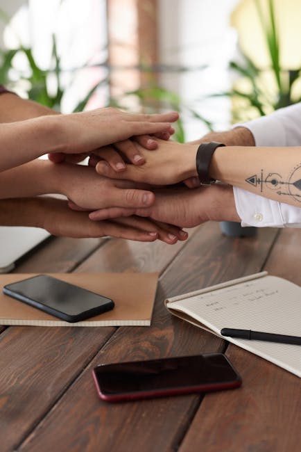 successful inclusion models
