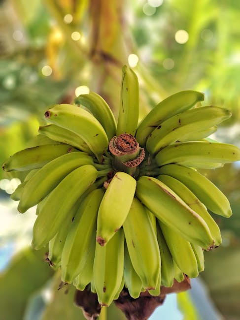 summer food insecurity