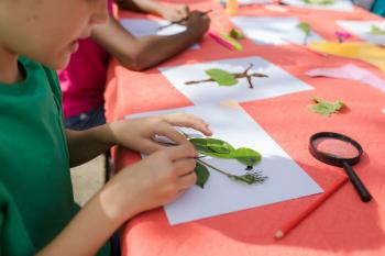 environmental education