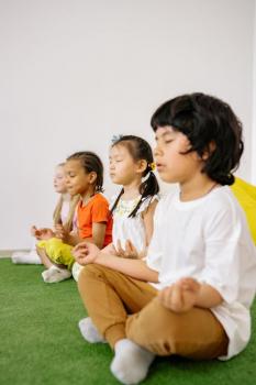 holistic education
