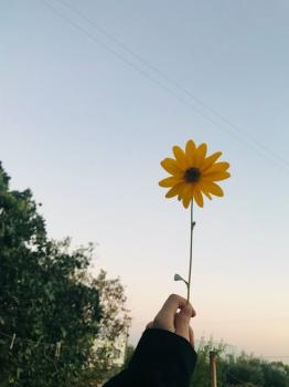 STEM in daily life