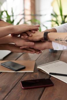 successful inclusion models