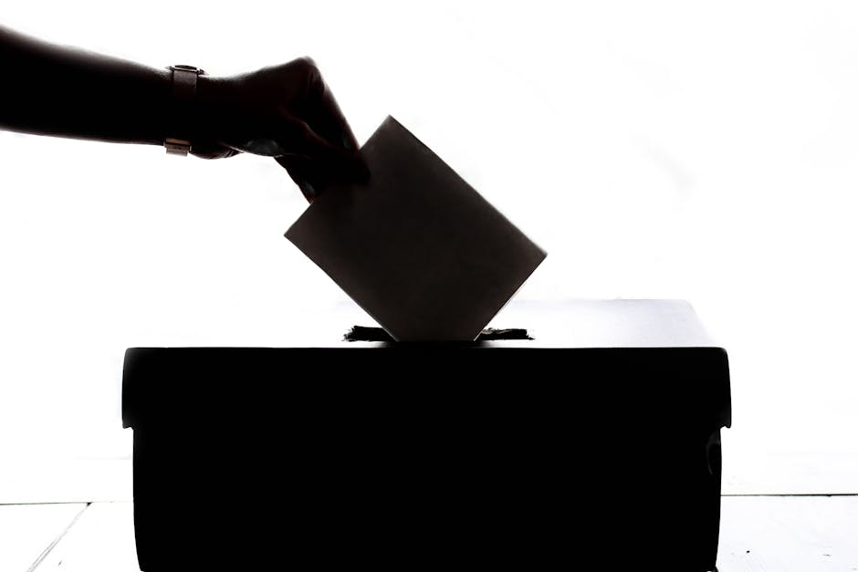 voter participation